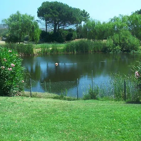 Palmtreehouse-sardiniaencharming&relaxing Hébergement de vacances Olbia