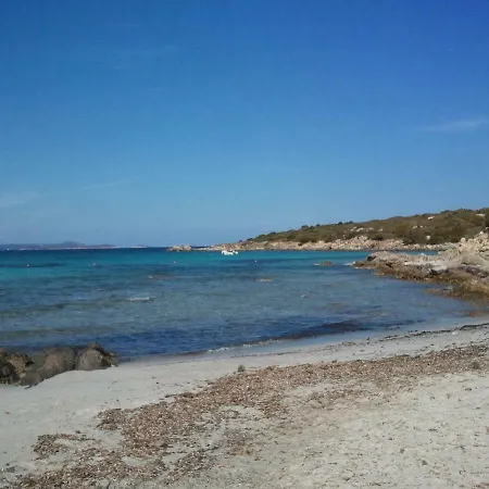 Holiday home Palmtreehouse-sardiniaencharming&relaxing Olbia